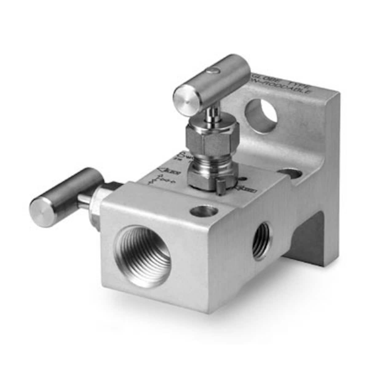 SWAGELOK/世伟洛克 不锈钢 2 阀仪表阀组，1/2 in. 内螺纹 NPT x 法兰 (MSS)，球头 SS-V2BF8-FL
