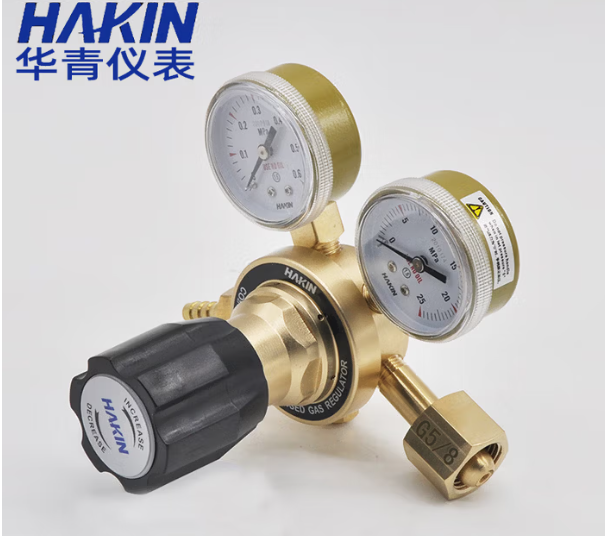 青岛华清 减压阀压力表 精品型25X2.5_mpa_接口G5_8