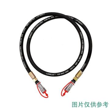 风发科技 电动加油机 专用油管，含转接头3m耐高压橡胶油管 WFD06-3