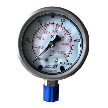 雷恩 压力表，70MPa，接口1/4"NPT GN0610