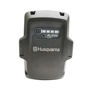 富世华 200锂电池 Bli200
