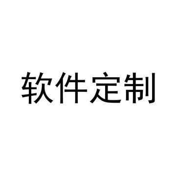 磐石电气 按工时收费，服务类产品下单前请咨询 软件支持服务