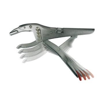 哈恩库博 HAHN+KOLB 大力钳250mm，4步调节 53419010