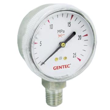 捷锐 氮气压力表表盘直径50mm，量程0-6Mpa，1/4NPT G20SL-6M，140421508，不锈钢316