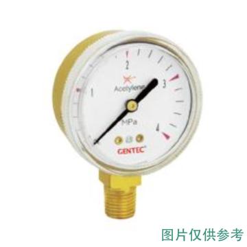 捷锐 氮气压力表表盘直径60mm，1/4NPT 140022907，G20-2.5M