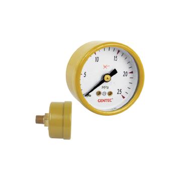 捷锐 压力表1.5"，25MPA，1/8NPT，轴向 GR15-25M，141011101