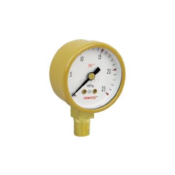 捷锐 压力表1.5"，1MPA，1/8NPT G15-1M，140011102