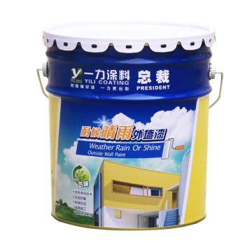 楚天龙 环保型外墙乳胶漆 环保型外墙乳胶漆，白色，20kg/桶