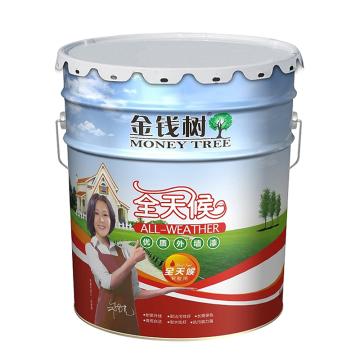 金钱树 全天候外墙乳胶漆 JS3100