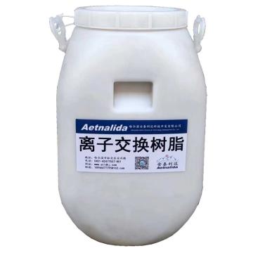 Aetnalida 分床处理装置专用树脂 AT-FC6100，1L