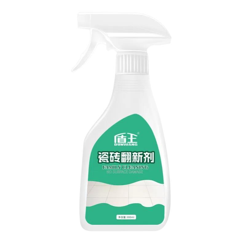 盾王 瓷砖翻新剂 DW-31