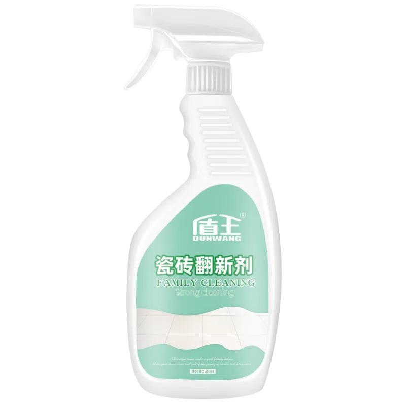 盾王 瓷砖翻新剂水剂 DW-30