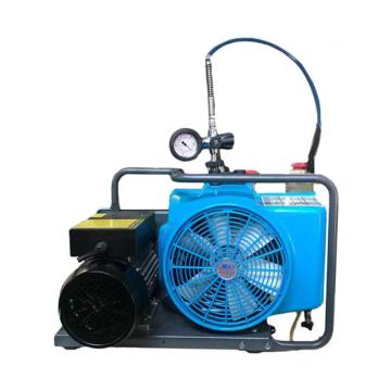 海安特 正压式消防空气呼吸器充气泵三相电机 380V HL-100，380V