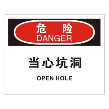 安赛瑞 OSHA危险标识-当心坑洞，不干胶材质，250×315mm 31171
