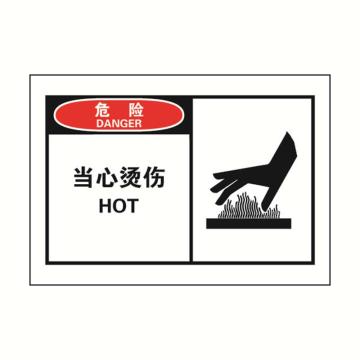 安赛瑞 OSHA危险警示标签-当心烫伤，127×89mm 32914
