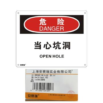 安赛瑞 OSHA危险标识-当心坑洞，ABS板，250×315mm 31671