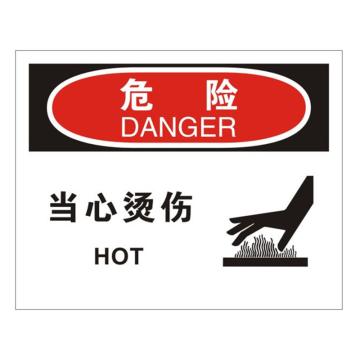 安赛瑞 OSHA危险标识-当心烫伤，不干胶材质，250×315mm 31283
