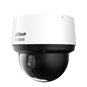 大华 4寸网络球机4寸200万红外POE球机（PoE） DH-SD4A223-DP-i