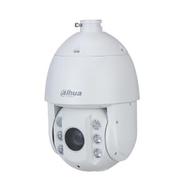 大华 6寸网络球机6寸400万红外网络球机 DH-SD6423-D