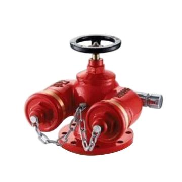 华泰 消防水泵接合器 SQD100-1.6