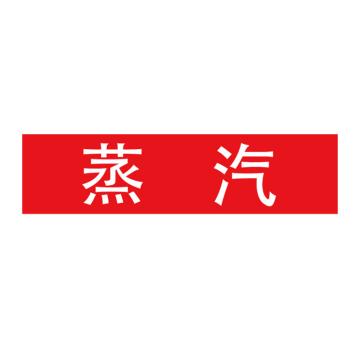 Raxwell 管道标识（小）-蒸汽，120*30mm，红底白字 RSSP0028