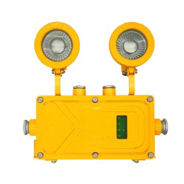 日昇之光 6W DC36V 应急时间：180min LED IP66 消防应急照明灯具 黄色 RC-ZM-BDZ-RFBJ01