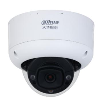 大华 600万双光人车警戒定焦防暴半球网络摄像机 DH-IPC-HDBW4643R1-ZYL-PV-AS(焦距：3.6mm)