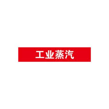 安赛瑞 管道标识-工业蒸汽，自粘性乙烯表面覆膜，红底白字，100×500mm 15312