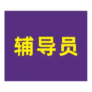 粤全识 臂章 辅导员 臂章布 内容UV 紫底黄字 90mm×105mm 辅导员