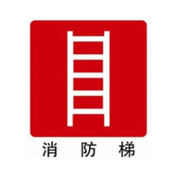Blive 消防安全标识-消防梯，自发光，PP板，250×315mm BL-PP-32241