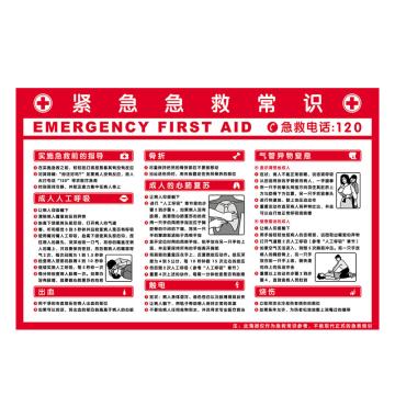 Raxwell 安全教育挂图-紧急急救常识，750mm（长）*500mm（宽），3M不干胶 RSSJ0075