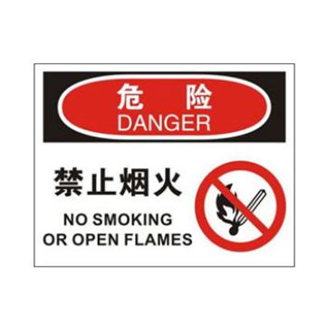 Blive OSHA危险标识-禁止烟火，自粘性乙烯，250×315mm BL-S-32648
