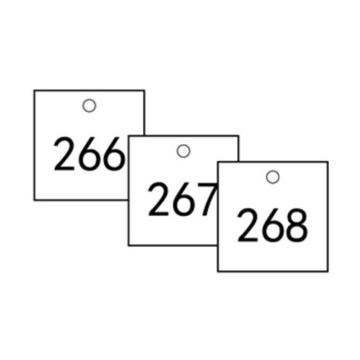 安赛瑞 塑料号码吊牌-正方形，31.8×31.8mm，白底黑字，号码201-300 14864