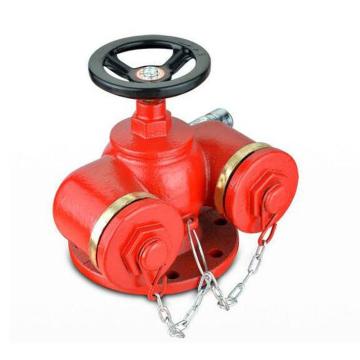 友安 消防水泵接合器 SQD100-1.6A