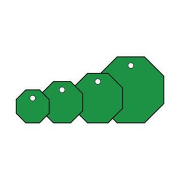 SAFEWARE 空白塑料吊牌-八边形，Ф50.8mm，绿色 14824