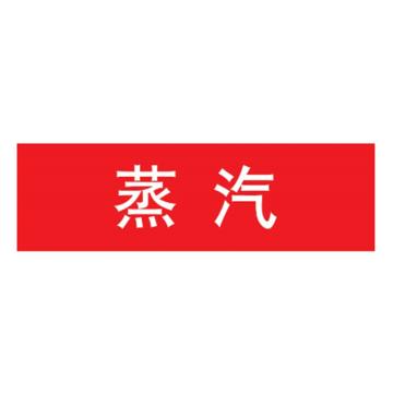 嘉辽 管道标识，蒸汽，红底白字，100×600mm，自粘性乙烯材质 EJLGB1223