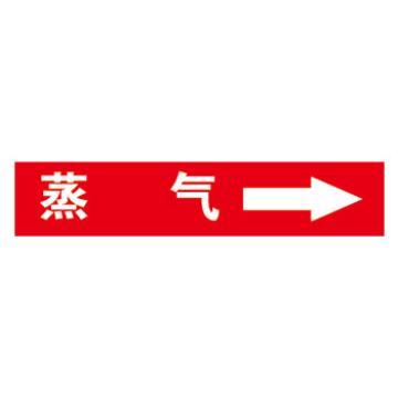 帛拉 标识 自粘乙烯管道标识 蒸汽 红底白字，20*80MM
