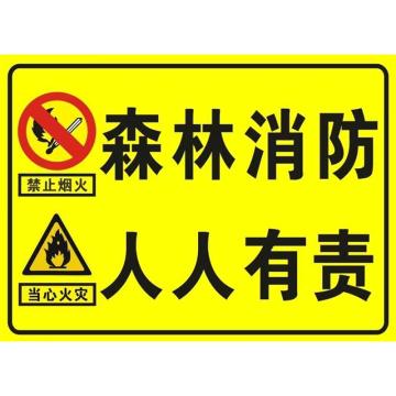功成狮 安全标示，PVC板 60×40CM（森林消防 人人有责） GSSY0001