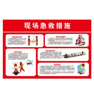 Raxwell 安全教育挂图-现场急救措施，750mm（长）*500mm（宽），3M不干胶 RSSJ0071
