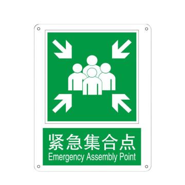 安赛瑞 自发光消防安全标识紧急集合点 250*315mm EA100682