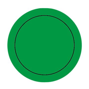 帛拉 仪表盘上下限标识 直径50mm（整圆）绿色 BL00248