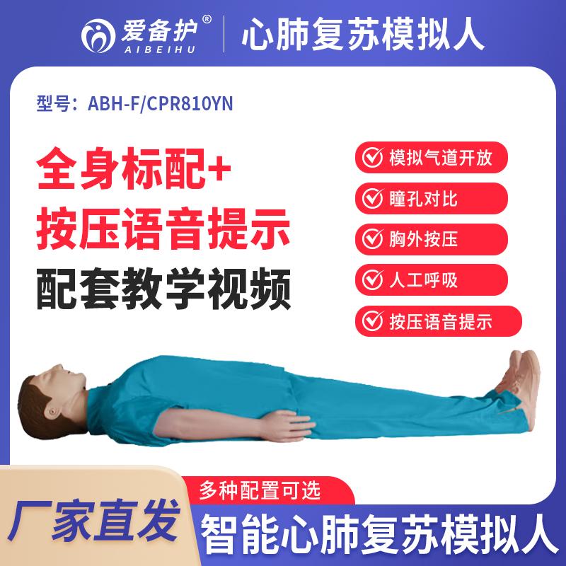 AIBEIHU 心肺复苏模拟人全身标配/按压语音提示 ABH-F/CPR810YN