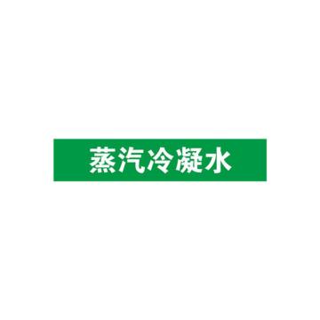 安赛瑞 管道标识-蒸汽冷凝水，自粘性乙烯表面覆膜，绿底白字，50×250mm 15111