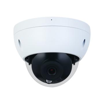 大华 全功能防暴功能半球(POE) DH-IPC-HDBW2433R-AS 6mm，