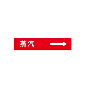 帛拉 管道标识 L500*W100MM，3M，蒸汽