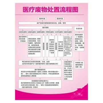 功成狮 医疗废物处置流程图红色，30*40CM，PVC材质，防水防晒耐用，YLF30 GSSI0427