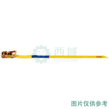 耶鲁 Yaletex单头型捆绑带2000kg 10M ZGR-50-2000-1(10m)