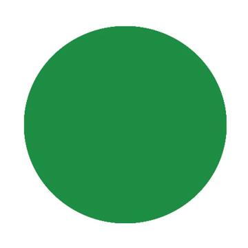 卡威 Raxwell 5S定位贴，圆型，绿色，0.45mm磨砂PVC材质，直径75mm RSSF0168