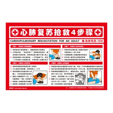 安赛瑞 心肺复苏抢救4步，ABS板，75cm×50cm 30400