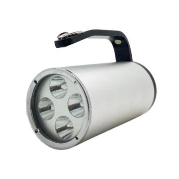 日昇之光 12W 6500K 11.1V IP68 手提式防爆探照灯 RSC8001